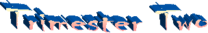 Final Excel Test 