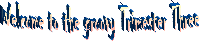 Welcome to the groovy Trimester Three
