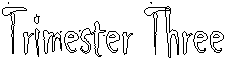 Trimester Three